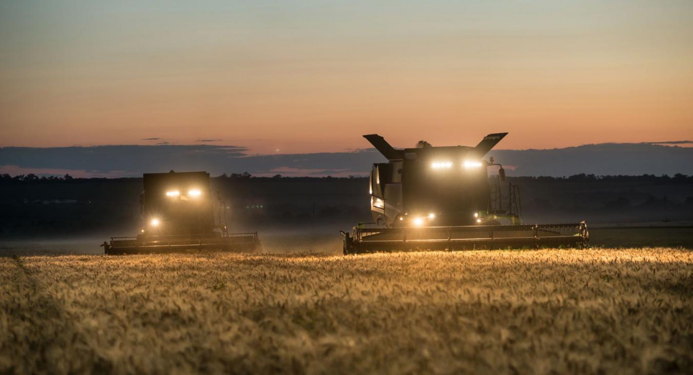Combines in the field at dusk